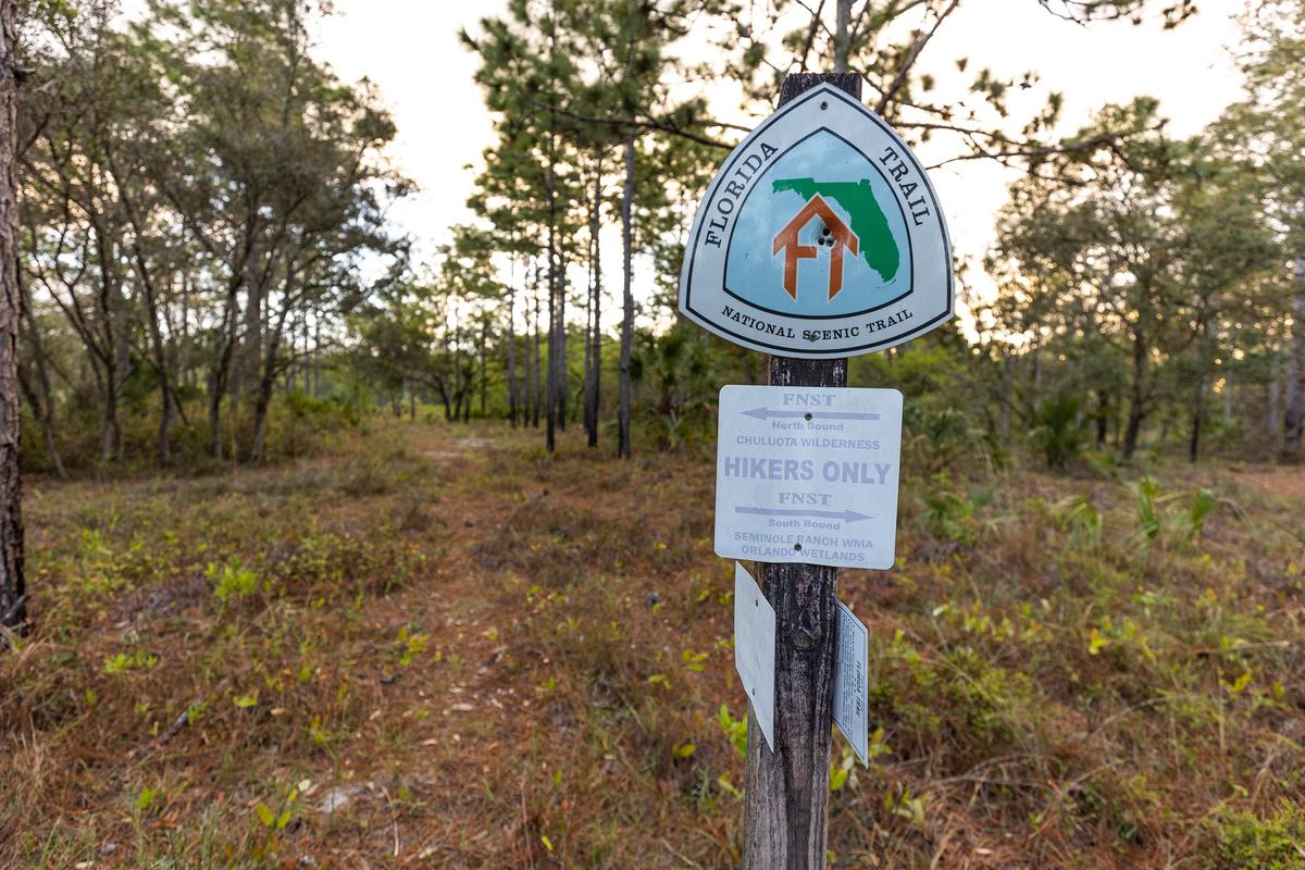 Charles H. Bronson State Forest: A Hidden Gem in Central Florida
