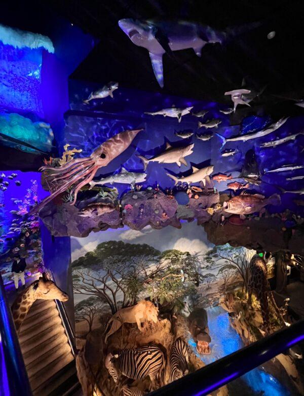 Below the sea lies the African portion of the World of Nature exhibit. (Courtesy of Karen Gough)