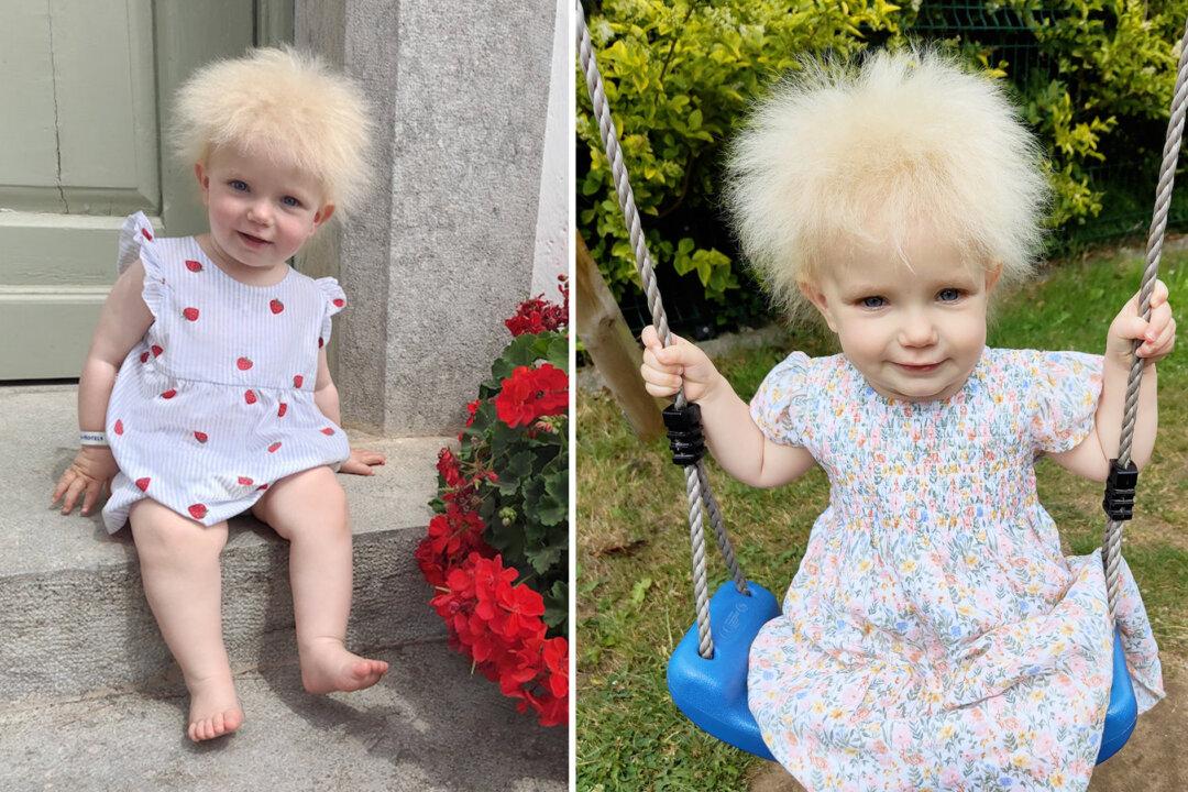 Toddler Has an Epic Mop of Hair That Defies All Attempts to Be Combed Straight (PHOTOS)