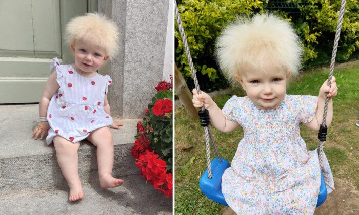 Toddler Has an Epic Mop of Hair That Defies All Attempts to Be Combed Straight (PHOTOS)