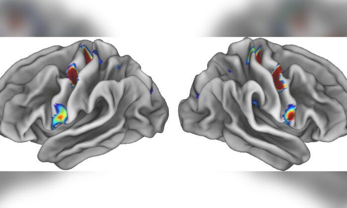 Scientists Identify Mind-Body Nexus in Human Brain