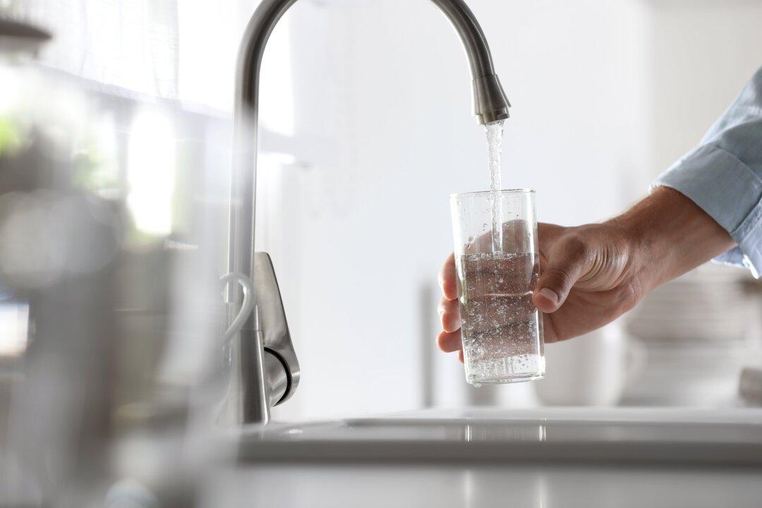Water Fluoridation: A Debate for the Decades