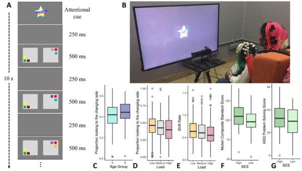 Figure 1 from a study on the effects of air quality and cognition in infants in India.