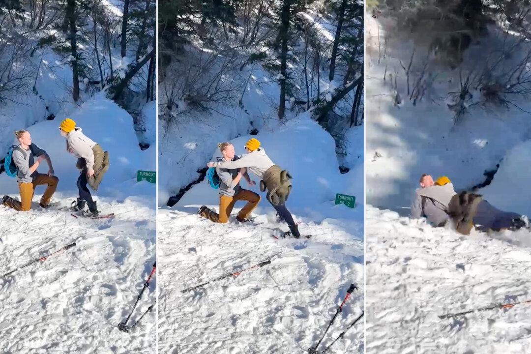 Couple’s Romantic Mountain Proposal Turns Chaotic, Includes Moose Charge and Momentary Ring Loss
