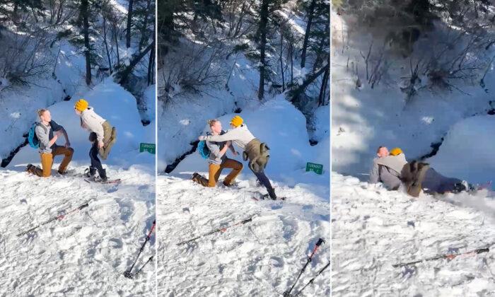 Couple’s Romantic Mountain Proposal Turns Chaotic, Includes Moose Charge and Momentary Ring Loss