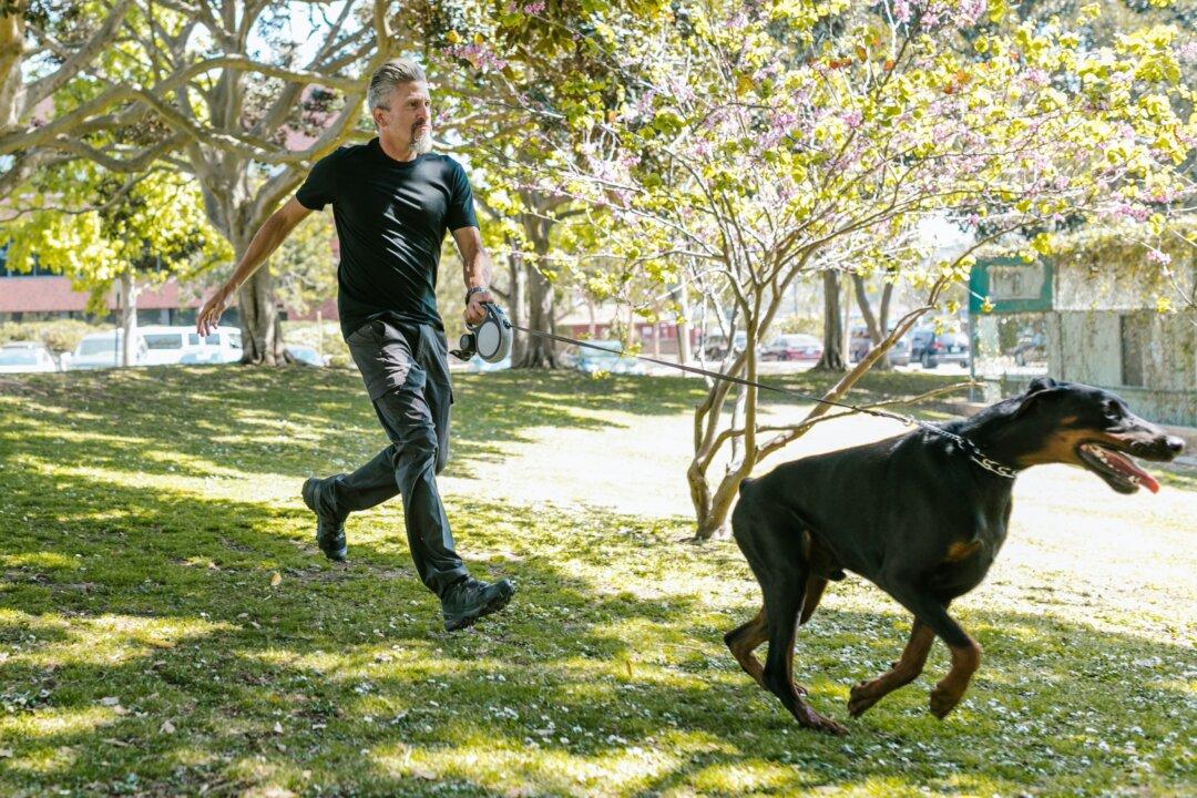 3 Injuries: How People Get Hurt While Walking the Dog