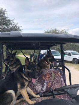 Dr. Michael Vickers and his wife use their German Shepherds to assist U.S. Border Patrol to catch illegal immigrants at the U.S.-Mexico border in South Texas in 2022. (Courtesy of Dr. Michael Vickers)