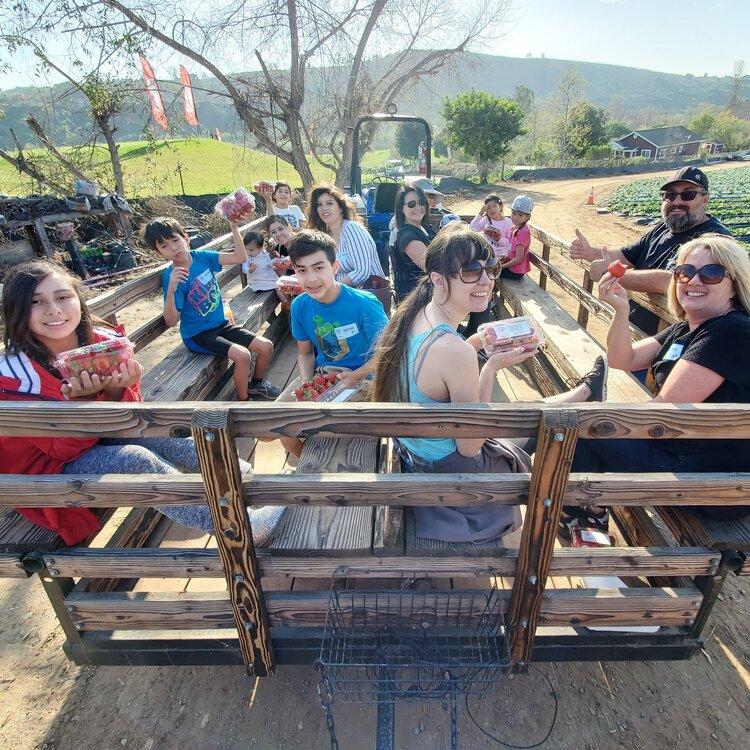 Fun Things to Do in Orange County This Weekend