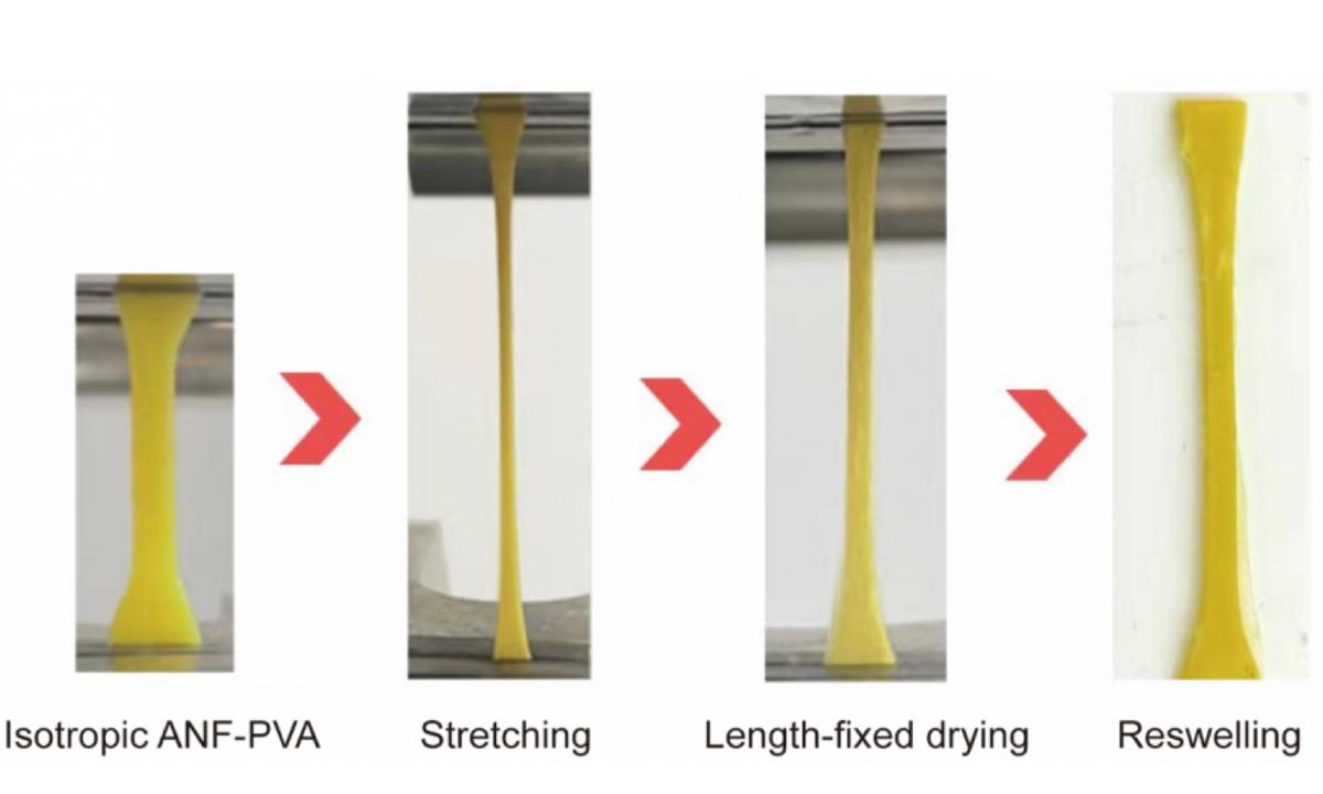 HKU Develops Tendon-Mimetic Hydrogels for Human Tissue Repair and Implantable Medical Treatment