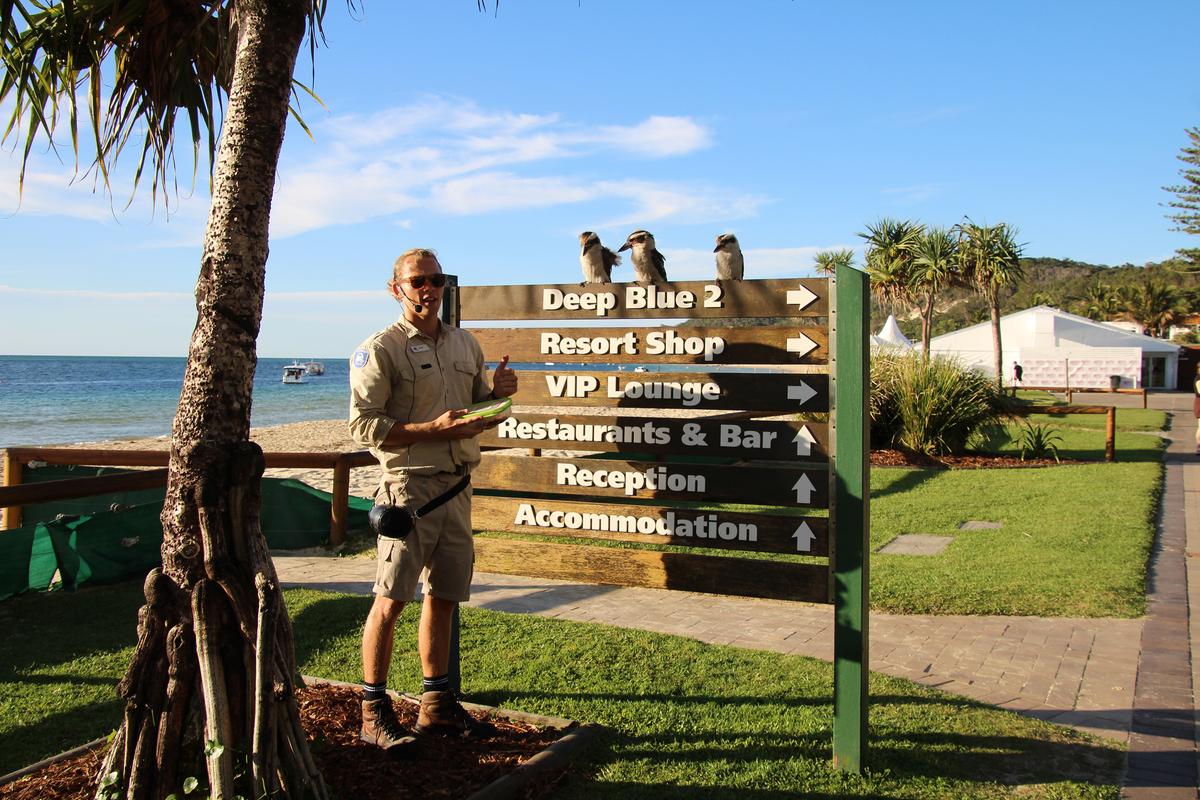 Tangalooma Island Resort’s Eco Ranger Josh explains to several island guests about the kookaburra, Australia’s iconic bird, and how it lives and feeds. The feedings, both fascinating and at times loud with the maniacal laughter of the birds, take place each day and are free to watch. (Mary Ann Anderson/TNS)