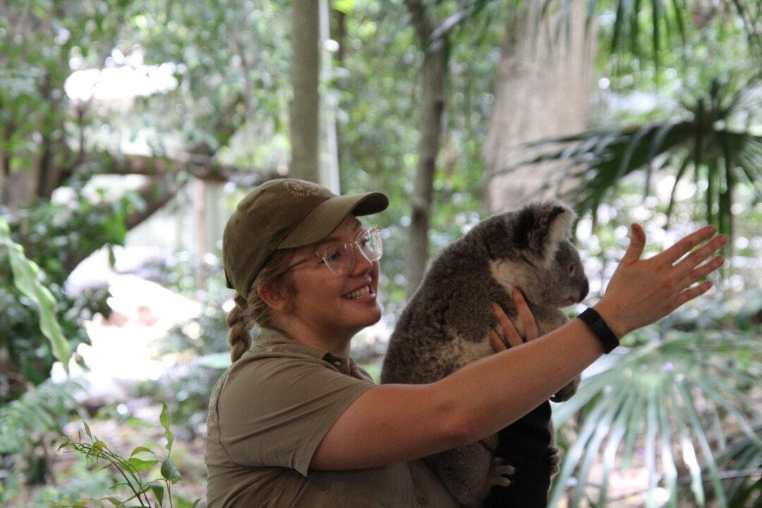 In Friendly Brisbane, Discover Something You’ve Never Tried Before