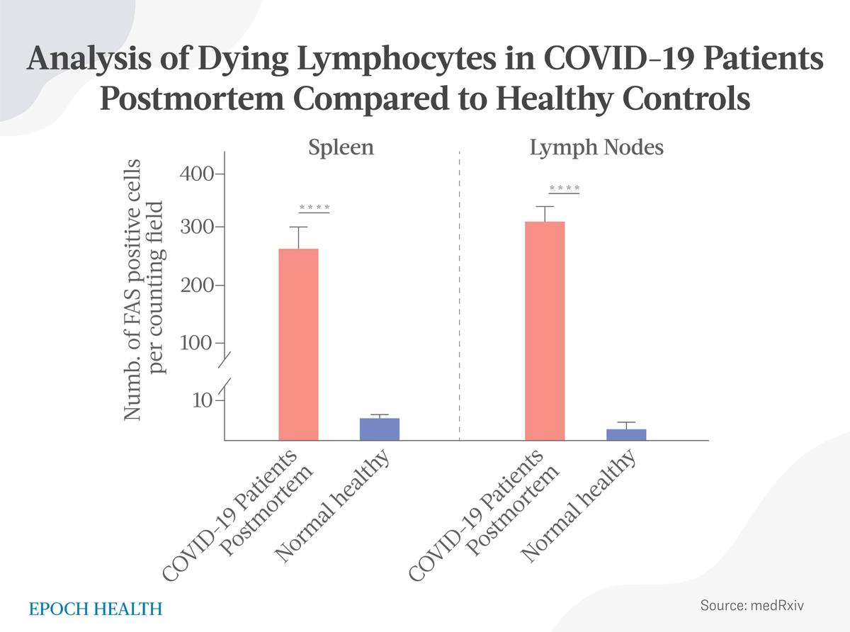Statistical analysis of apoptotic lymphocytes in spleens and lymphatic nodes from postmortem COVID-19 patients and normal healthy controls. (medRxiv)