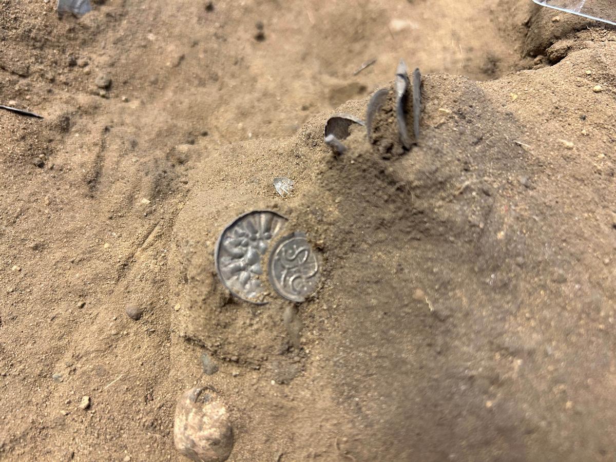 Silver coins are seen exposed, half-buried in a field in Blåtand, Denmark. (Photos from Nordjyske Museer, Denmark)