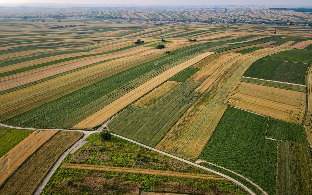 Fields stretch to the horizon over Sułoszowa, 28 miles northwest of Krakow, Poland. (Courtesy of <a href="https://www.instagram.com/foto_po_mojemu_m.kindryk/">Małgorzata Kindryk</a>)
