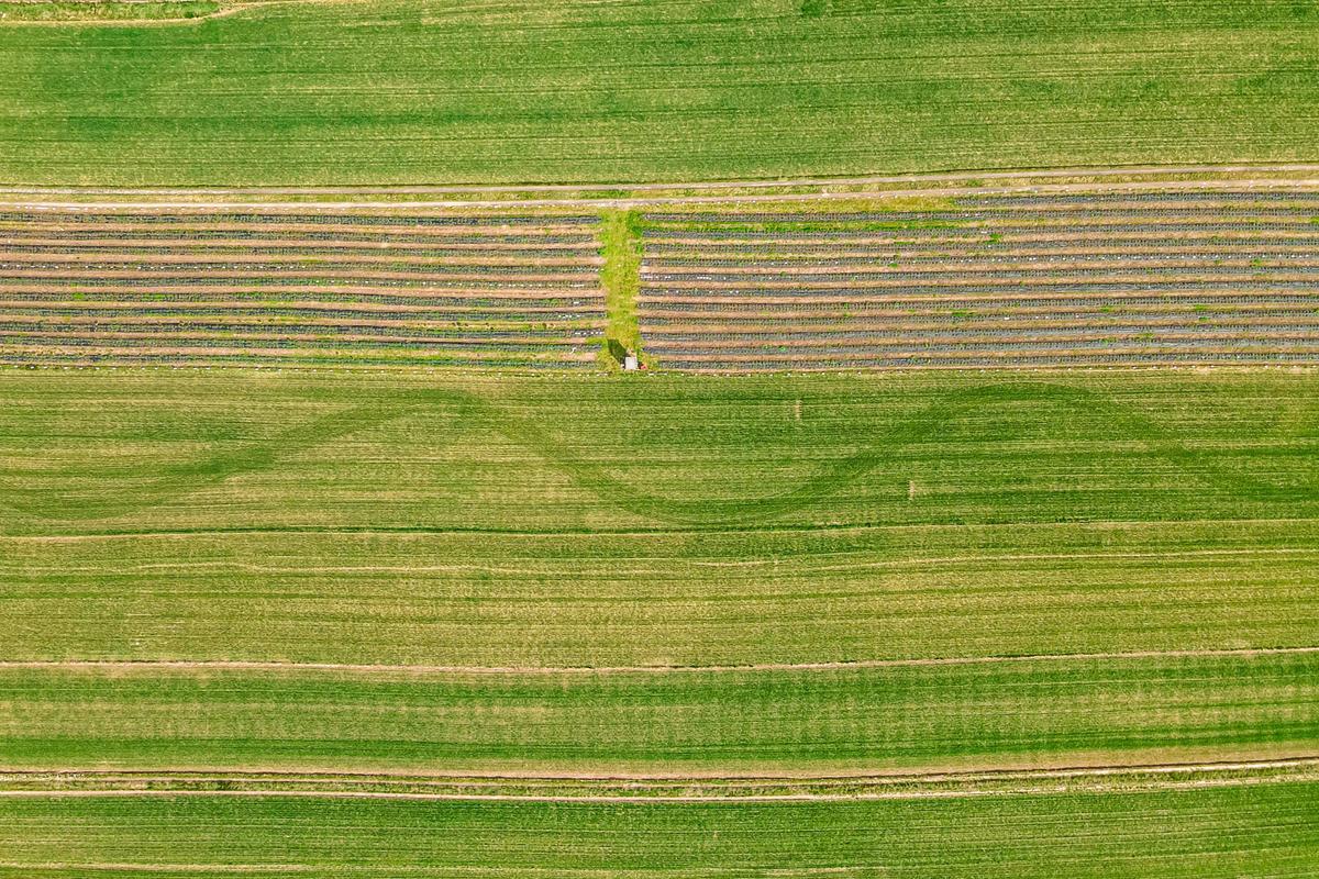Crop fields viewed from the air over Sułoszowa, Poland. (Courtesy of <a href="https://www.instagram.com/foto_po_mojemu_m.kindryk/">Małgorzata Kindryk</a>)