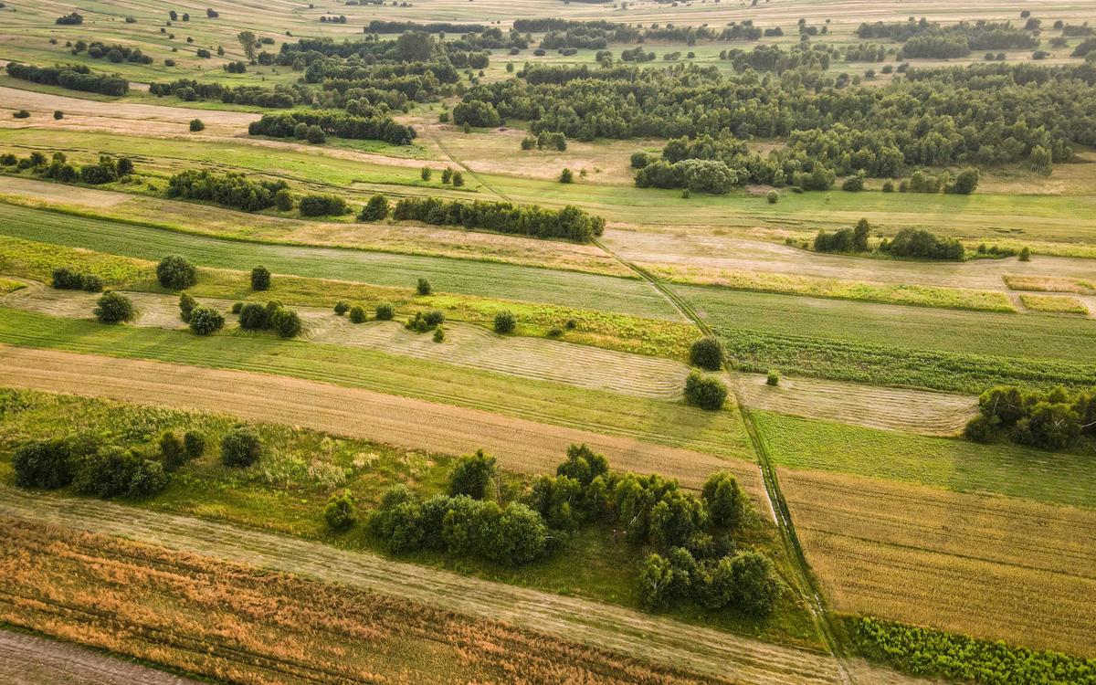 Narrow strips of land are allotted to different properties in Sułoszowa, Poland. (Courtesy of <a href="https://www.instagram.com/foto_po_mojemu_m.kindryk/">Małgorzata Kindryk</a>)