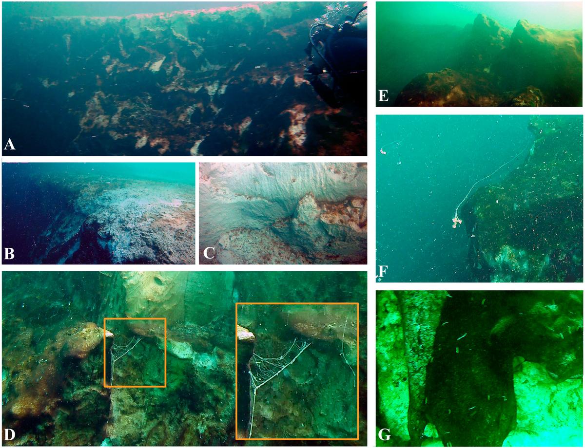 Figure 3: Insights into the morphological and biological features at Taam ja’ Blue Hole; (A, B) Entrance border at the southern wall of the blue hole surrounded by a flat limestone platform, which is part of the Chetumal Bay seabed; (C, D) Exposed white patches of limestone from rockslides are intercalated with biofilms and (E) limestone rocky ledges of 2-3 meters; (D, F) Detail of mucoid filaments floating in the waters of the blue hole and attached to its walls; and (G) worms and biofilms covering exposed limestone over which dead barnacles were observed. (<a href="https://www.frontiersin.org/articles/10.3389/fmars.2023.1141160/full">© 2023 Alcérreca-Huerta, Álvarez-Legorreta, Carrillo, Flórez-Franco, Reyes-Mendoza and Sánchez-Sánchez</a>/CC BY 4.0)