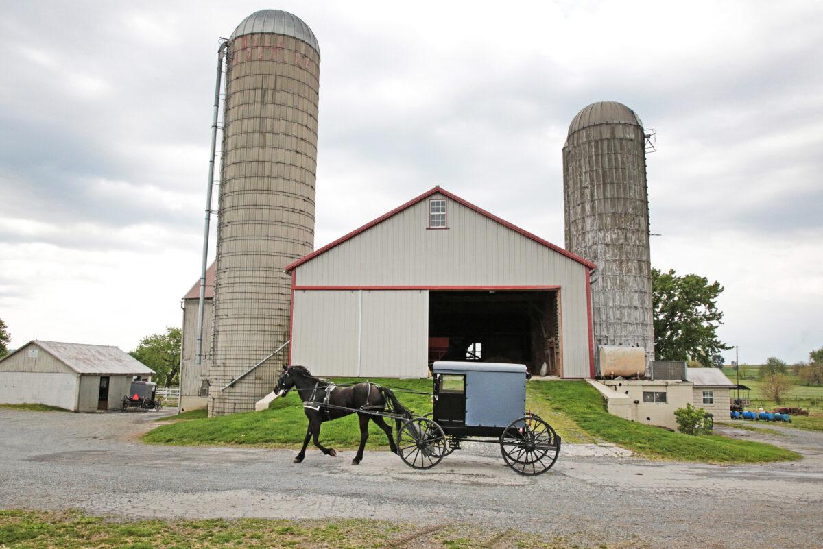 A buggy pulls up at Old Windmill Farm in Ronks, Pa., on April 26, 2023. (Richard Moore/The Epoch Times)