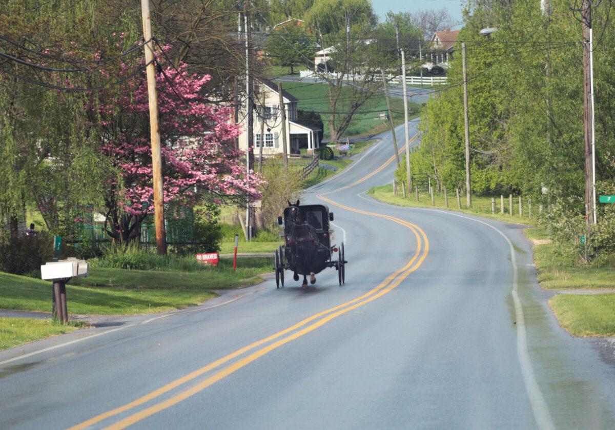Horse buggies are a transportation mainstay for Amish families in Pennsylvania. Photo taken on April 27, 2023. (Richard Moore/The Epoch Times)