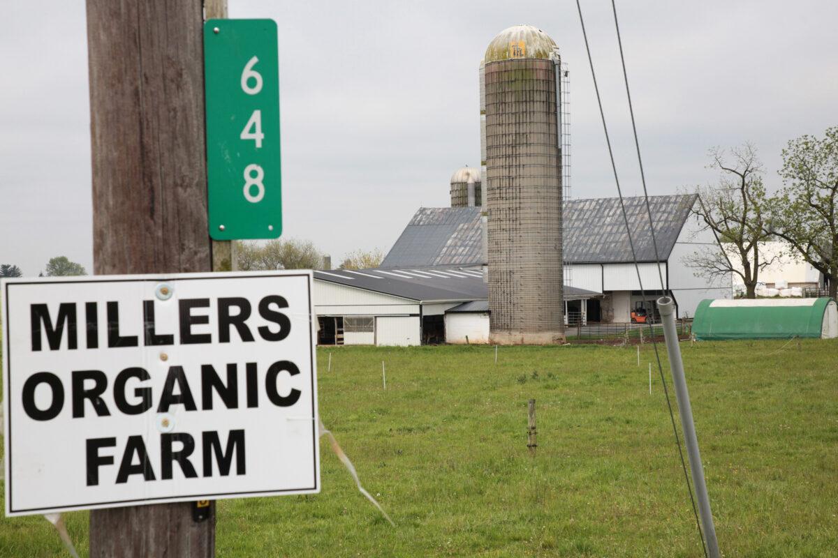 Miller's Organic Farm in Bird-in-Hand, Pa., on March 27, 2023. The farm is involved in a legal dispute over federal food safety laws. (Richard Moore/The Epoch Times)