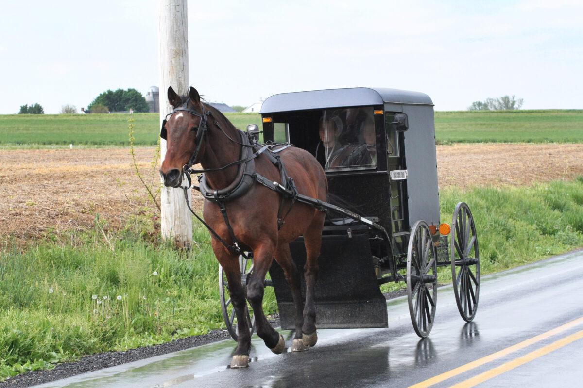 Members of the Amish community feel that using horse-drawn buggies rather than motor vehicles keeps their community closer. (Richard Moore/The Epoch Times)