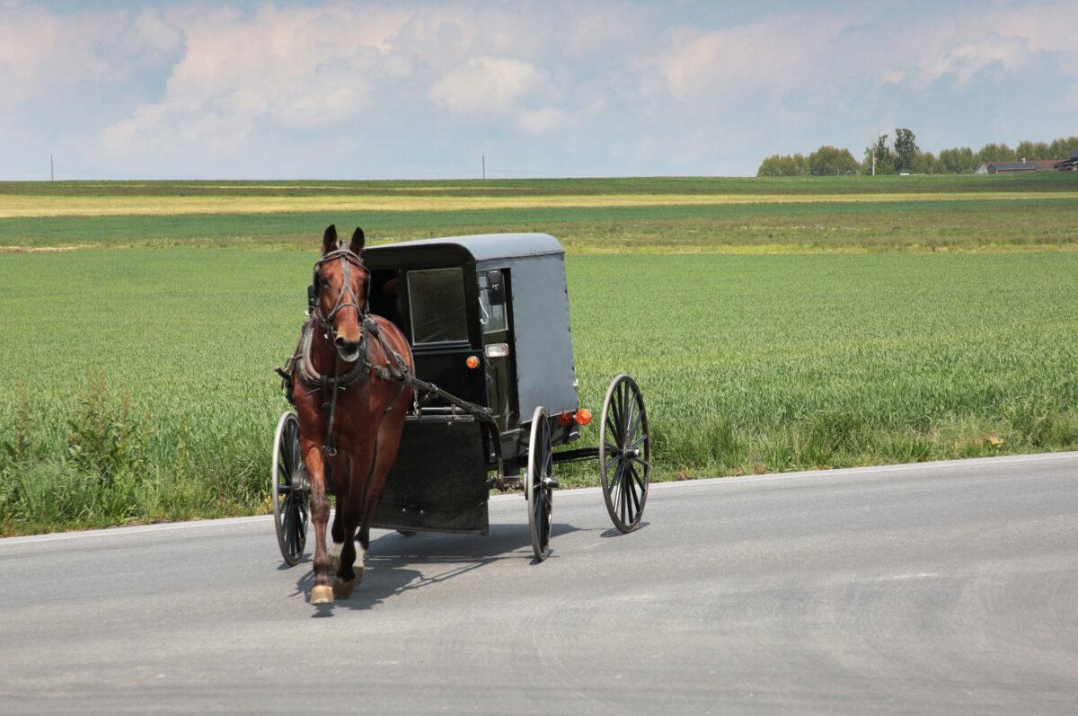Horse buggies are common among the Amish community in Pennsylvania. Image taken on April 27, 2023. (Richard Moore/The Epoch Times)