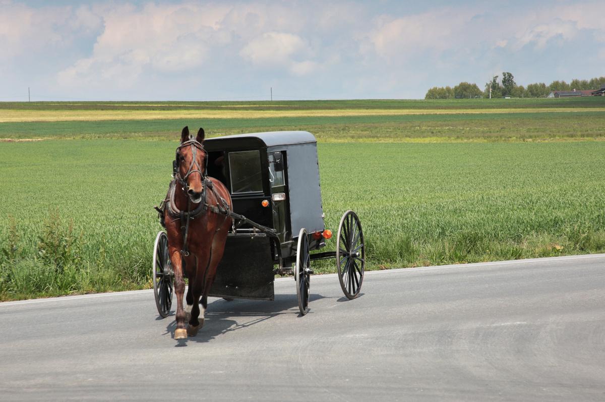 Amish Buggy Crash Kills Girl and Injures Boy in Michigan