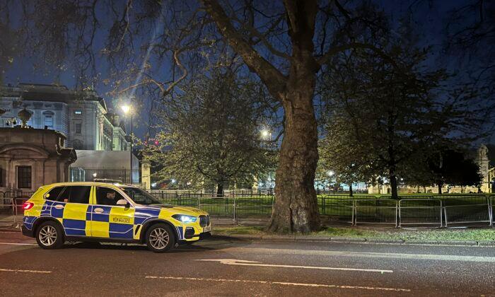 Man Arrested Outside Buckingham Palace After Shotgun Cartridges Thrown Over Fence