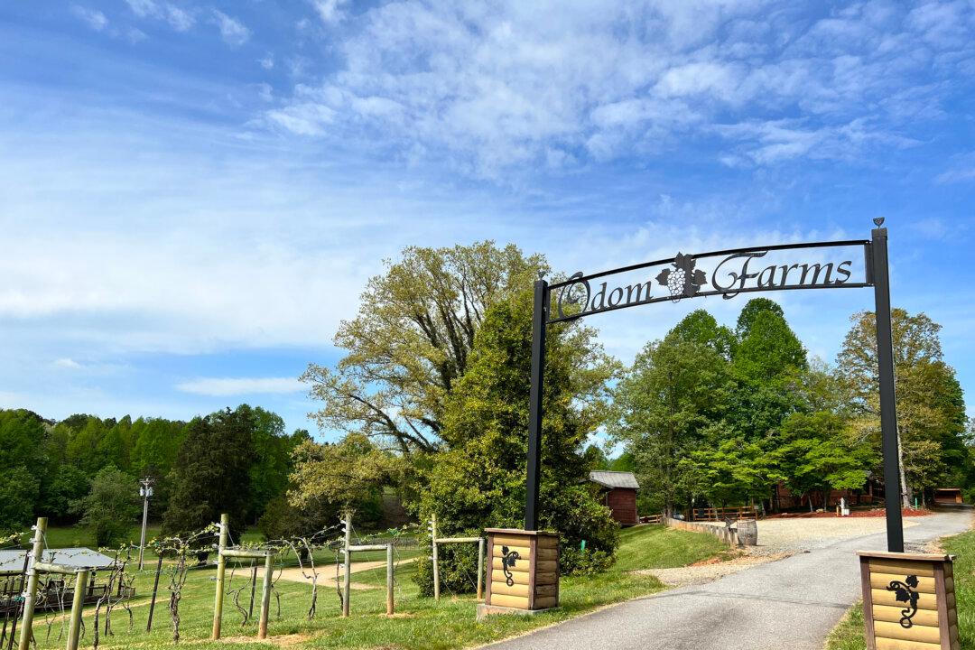 Historic, Spirited Blairsville Offers an Endless Supply of Georgia’s Mountain Culture