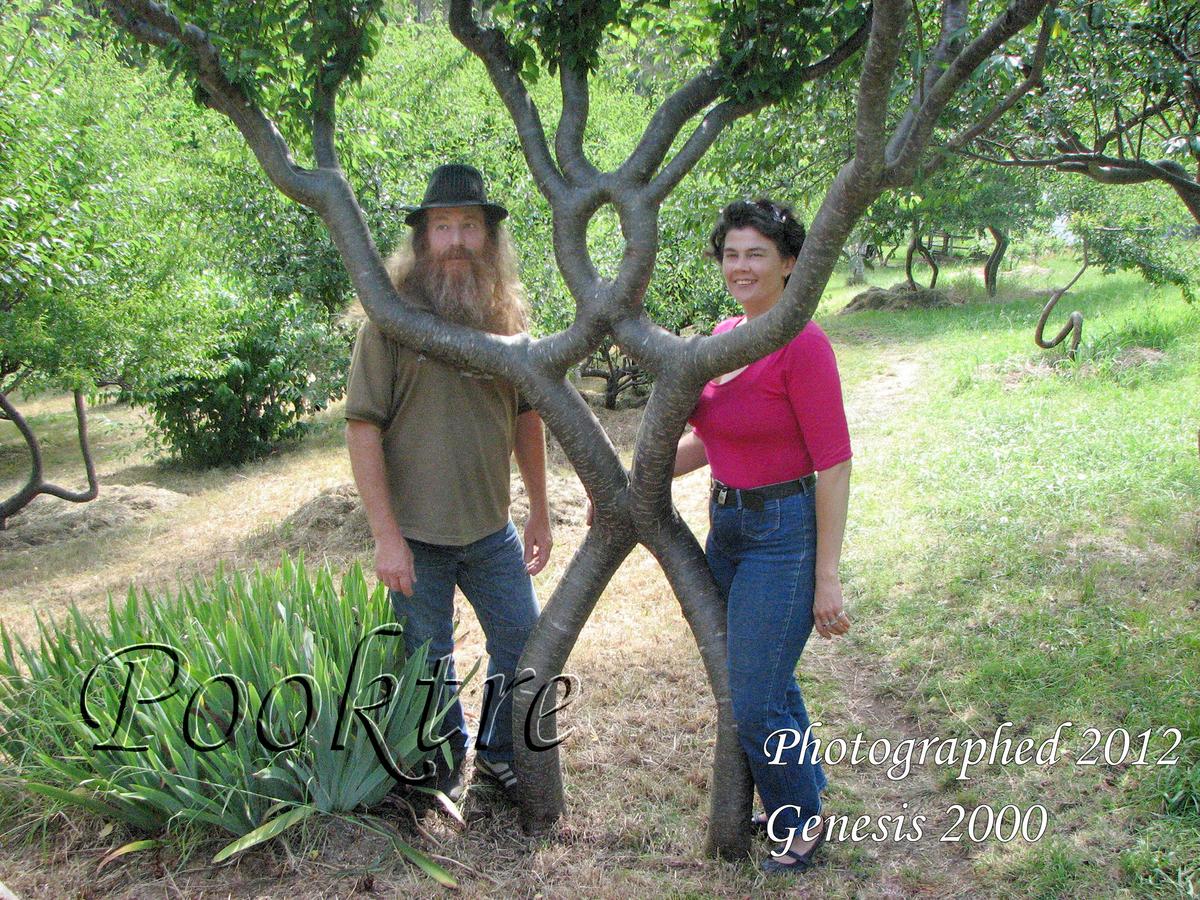One of the "tree people" grown by the couple. (Courtesy of <a href="https://www.pooktre.com/">Pooktre</a>)