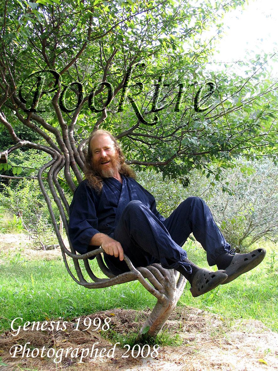 Peter Cook sitting on the "living chair" that took nine years to finish. (Courtesy of <a href="https://www.pooktre.com/">Pooktre</a>)