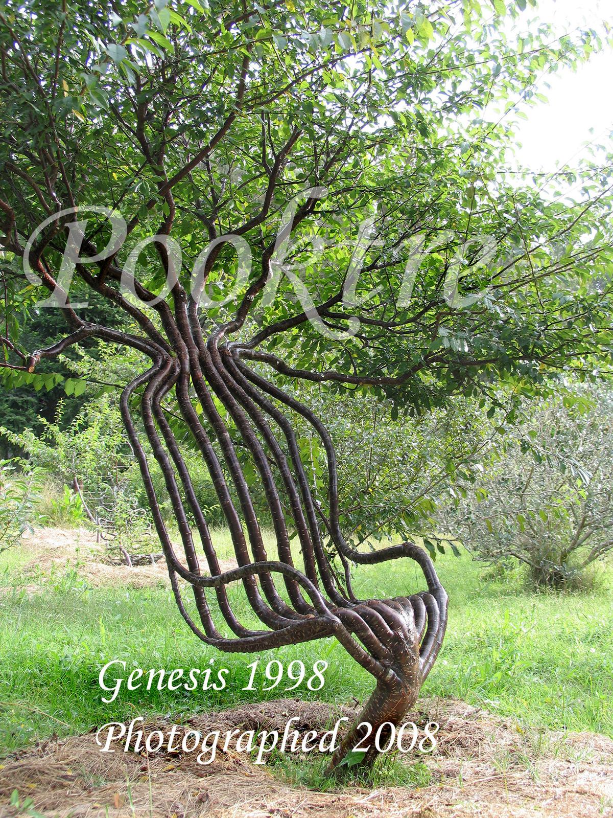 The "living chair." (Courtesy of <a href="https://www.pooktre.com/">Pooktre</a>)