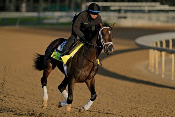 Kentucky Derby hopeful Forte works out at Churchill Downs in Louisville, Ky., on May 2, 2023. (Charlie Riedel/AP Photo)
