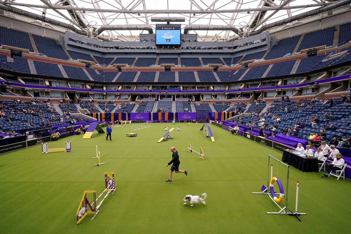 Tennis, or Terriers? US Open’s Home Hosts Famed Dog Show