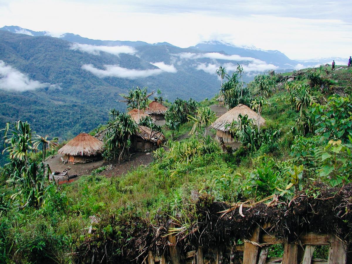 A Wano tribe village, whose locations vary, as the Wano people migrate to new locations ever few years when soils deplete. (Courtesy of <a href="https://www.wildbrothersproductions.com/off-the-couch-into-creation">The Wild Brothers</a>)