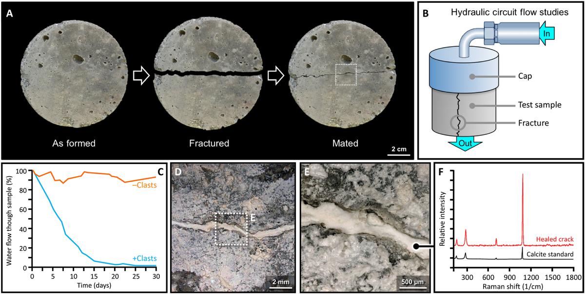 Modern mortar self-healing experiments: After casting, the Roman-inspired hot-mixed concrete samples were mechanically fractured and then re-mated (with a gap of 0.5 ± 0.1 mm) and preconditioned for our crack-healing studies (A). Using an integrated flow circuit (B), water flow through the sample over the course of 30 days was documented with a flow meter. Compared to the lime clast–free control (orange line), after 30 days, water flow through the lime clast–containing sample (blue line) ceased (C), and examination of the cracked surface revealed that it had been completely filled with a newly precipitated mineral phase (D and E), which was identified as calcite from Raman spectroscopy measurements (F). (Courtesy of Linda M. Seymour, Janille Maragh, Paolo Sabatini, Michel Di Tommaso, James C. Weaver, and Admir Masic)