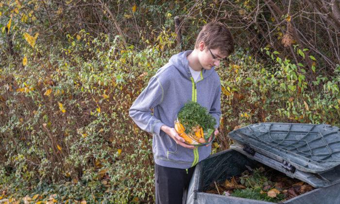 The Wonderful World of Compost