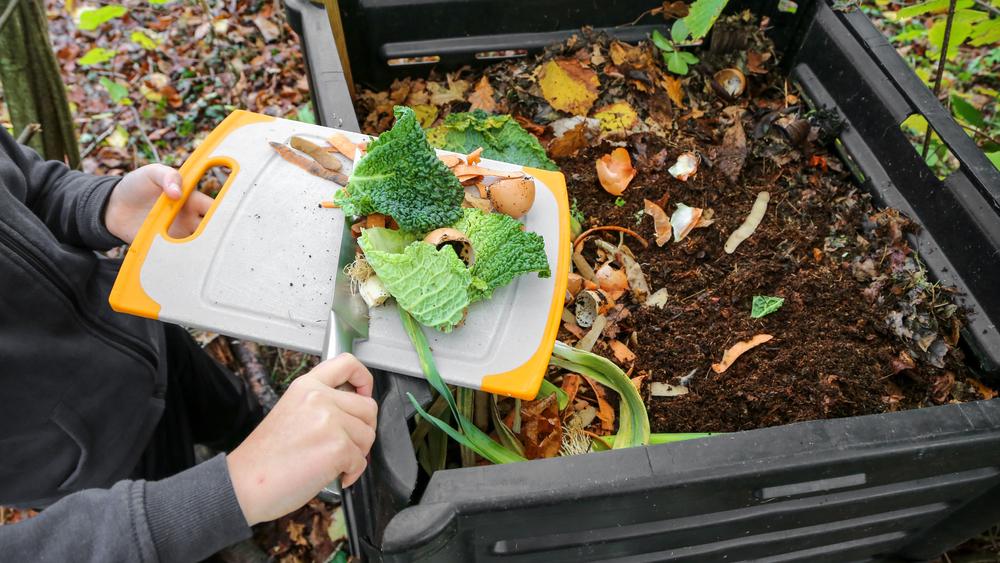 While there are many worm-composting bins you can buy, you can easily make one out of untreated wood, or simply use a plastic storage container with a tight-fitting lid.(Jerome.Romme/Shutterstock)