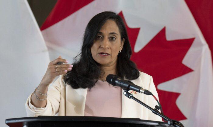 Defence Minister Says Canada Wants to Share Advanced Military Technology With Allies