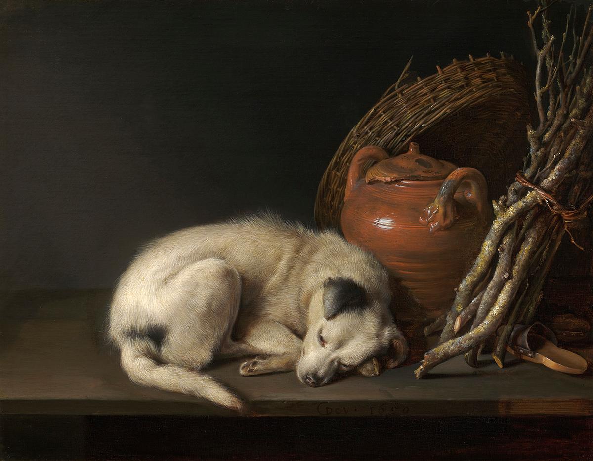 "Dog at Rest,"1650, by Gerrit Dou. Oil on panel; 6.5 inches by 8.5 inches. Rose-Marie and Eijk van Otterloo Collection, Museum of Fine Arts, Boston. (Public Domain)