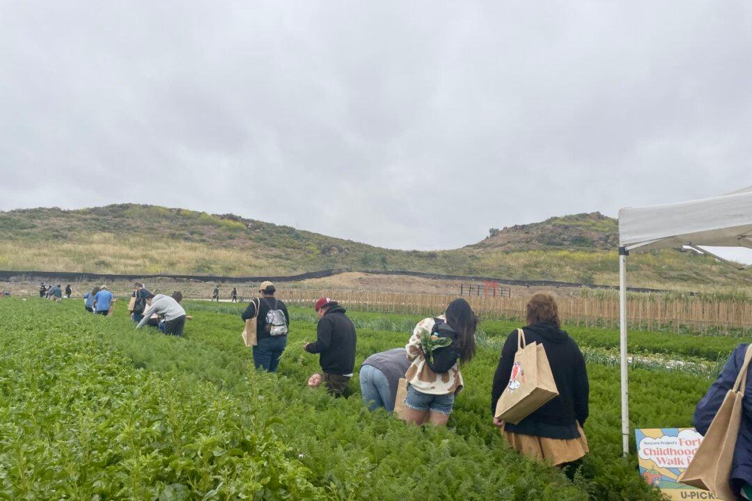 Hundreds Turn Out for Childhood Cancer Walk at Tanaka Farms in Irvine