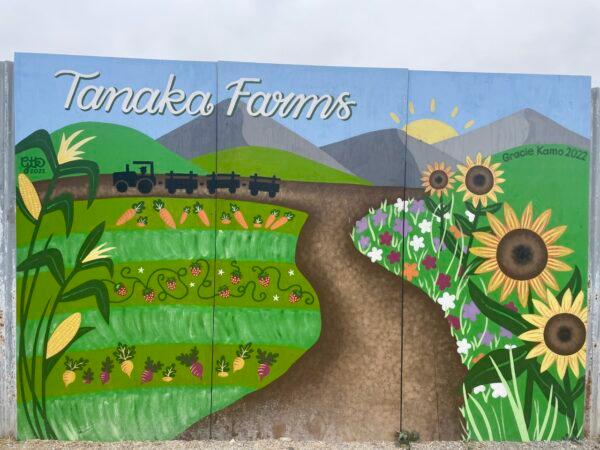 A farm sign at Tanaka Farms in Irvine, Calif., on April 30, 2023. (Carol Cassis/The Epoch Times)