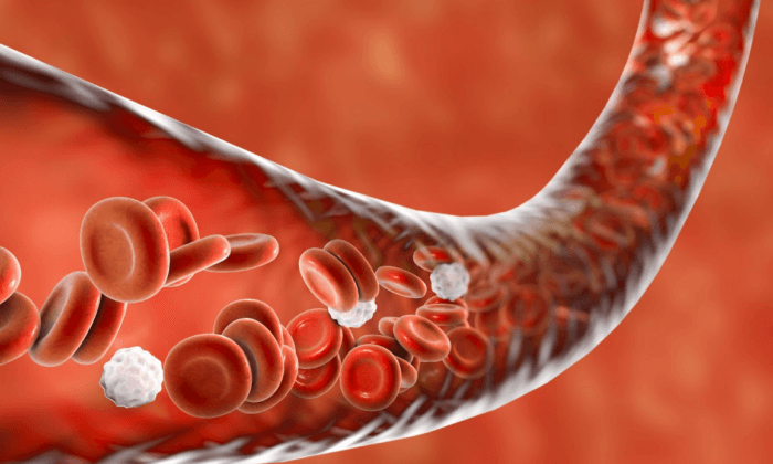 3 Dietary Habits to Treat Anemia and Nourish the Blood