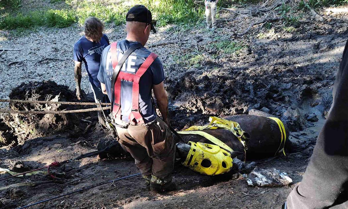 Rescuers use a rope and pully system to free draught horse Chrome from deep mud in a Kansas lake. (Courtesy of Butler County Animal Response Team)
