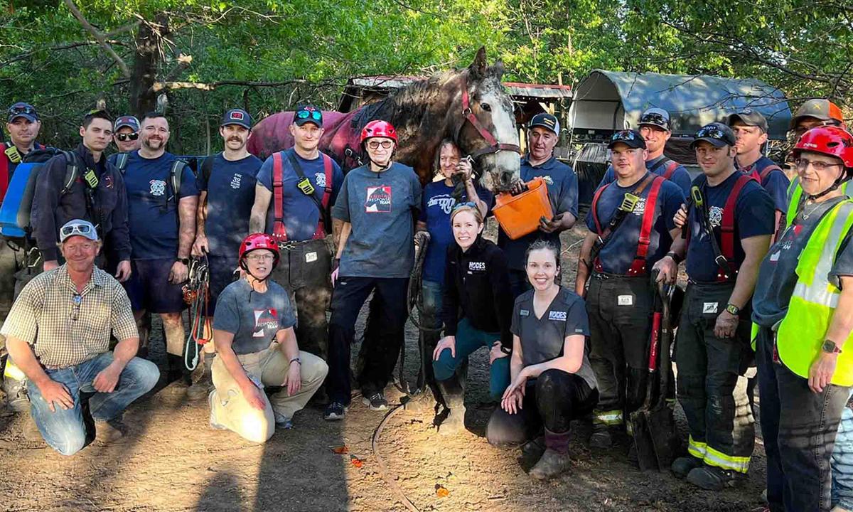 Rescuers and Chrome the draught horse pose for a group photo after his successfully being rescued from deep mud on Tuesday, May 2. (Courtesy of Butler County Animal Response Team)