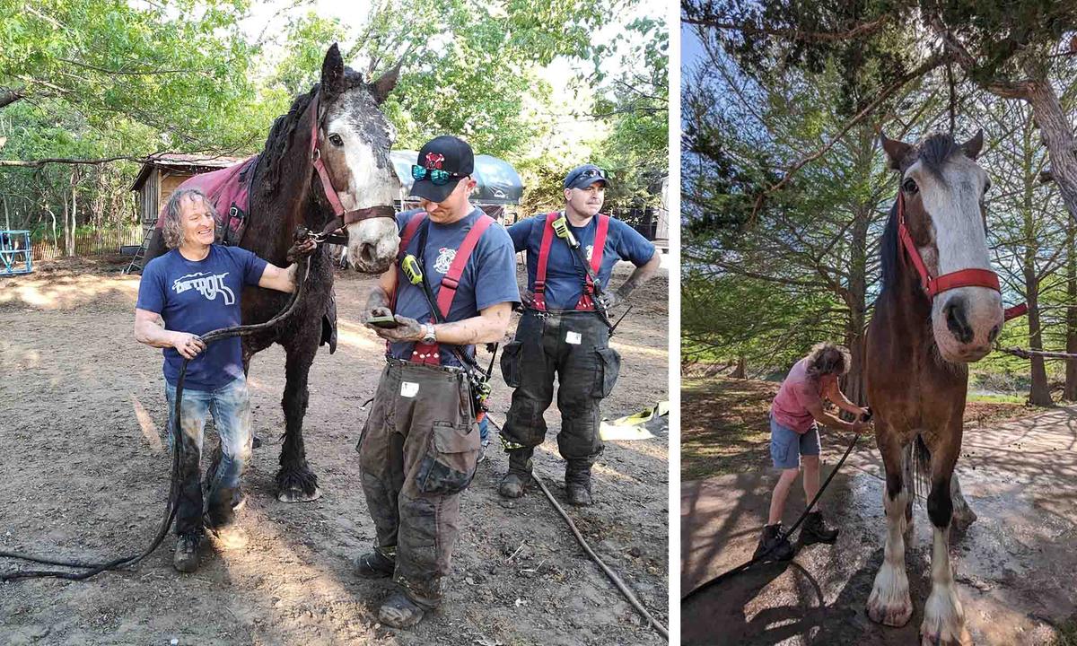 Rescuers and carers tend to Clydesdale draught horse Chrome following his being rescued from a Kansas lake on Tuesday, May 2. (Courtesy of Butler County Animal Response Team)