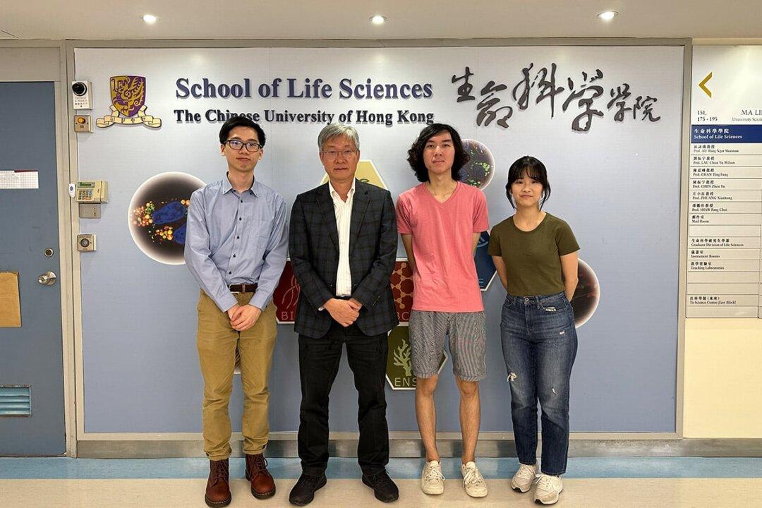 CUHK Unveils How H. pylori, Culprit of Peptic Ulcers, Keeps Alive to Help Develop New Drugs
