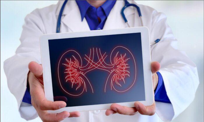 8 Kidney-Damaging Factors and Physician’s Dietary Advice for Optimal Renal Health