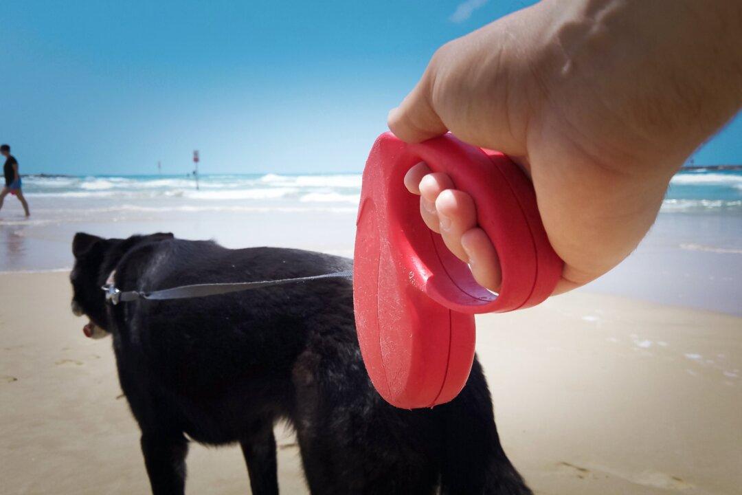 Retractable Leashes Risky for Dogs and People