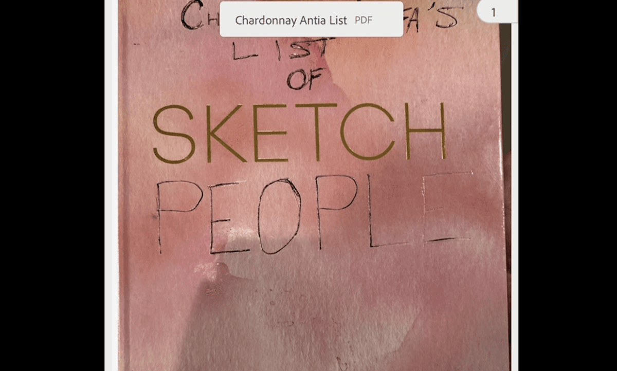 A picture of the alleged "Chardonnay Antifa's List of Sketch People" book, which lists information about parents who have spoken at Loudoun County School Board meetings. (Courtesy of Elicia Brand)
